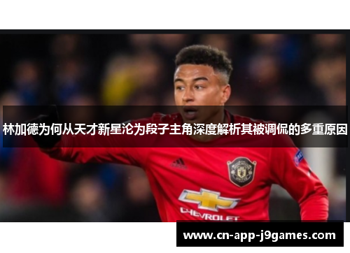 林加德为何从天才新星沦为段子主角深度解析其被调侃的多重原因