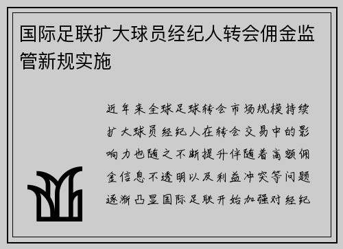 国际足联扩大球员经纪人转会佣金监管新规实施 国际足联扩大球员经纪人转会佣金监管新规实施